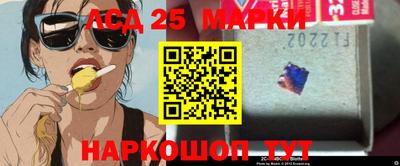 2c-b Камышлов