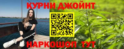 прущие грибы Кандалакша