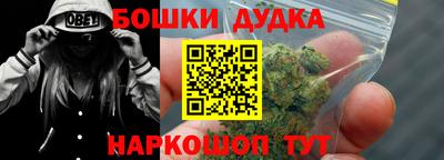 прущие грибы Кандалакша