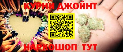 прущие грибы Кандалакша