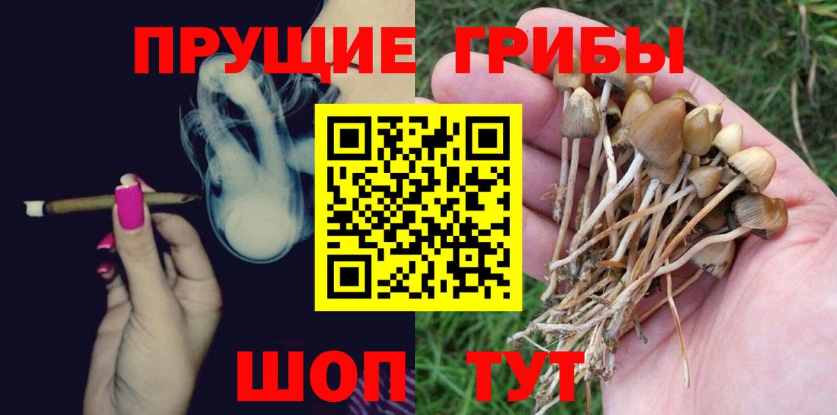 Псилоцибиновые грибы GOLDEN TEACHER  Вход с VPN  Шебекино 